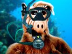 Avatar de alf90