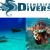 Avatar de tenerifedivers